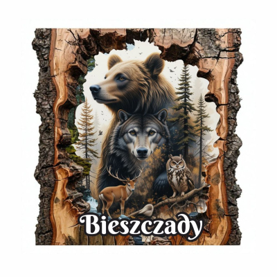 magnes, pamiątka, ramka, kora, niedźwiedź, drewno, drewniany